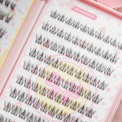 lash cluster book