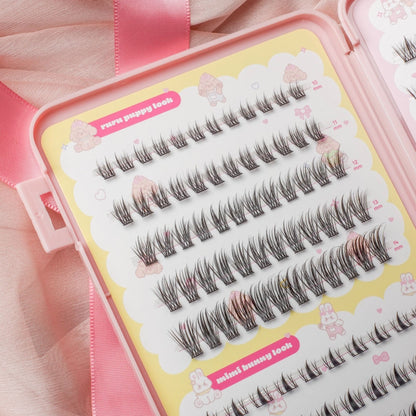 lash cluster book