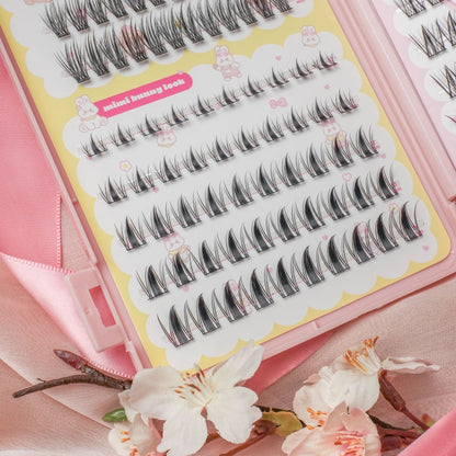 lash cluster book